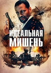 Постер к Идеальная мишень