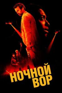 Постер к Ночной вор